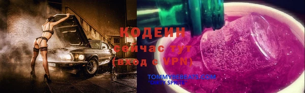 крисы Богородицк
