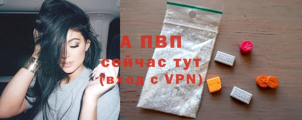крисы Богородицк