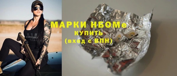 крисы Богородицк