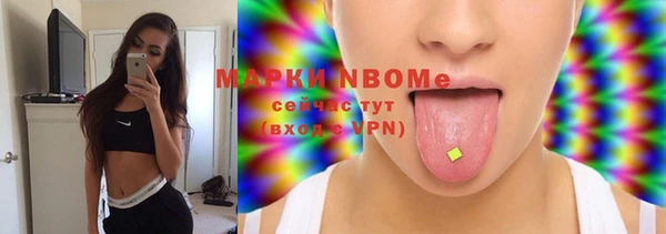 крисы Богородицк