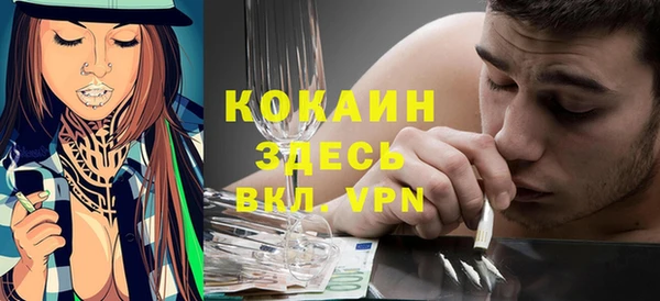 крисы Богородицк