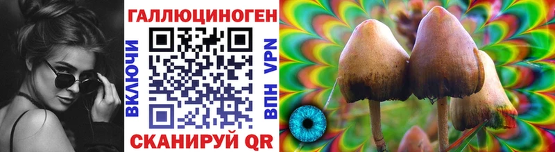 Купить  Рыльск  Псилоцибиновые грибы прущие грибы 